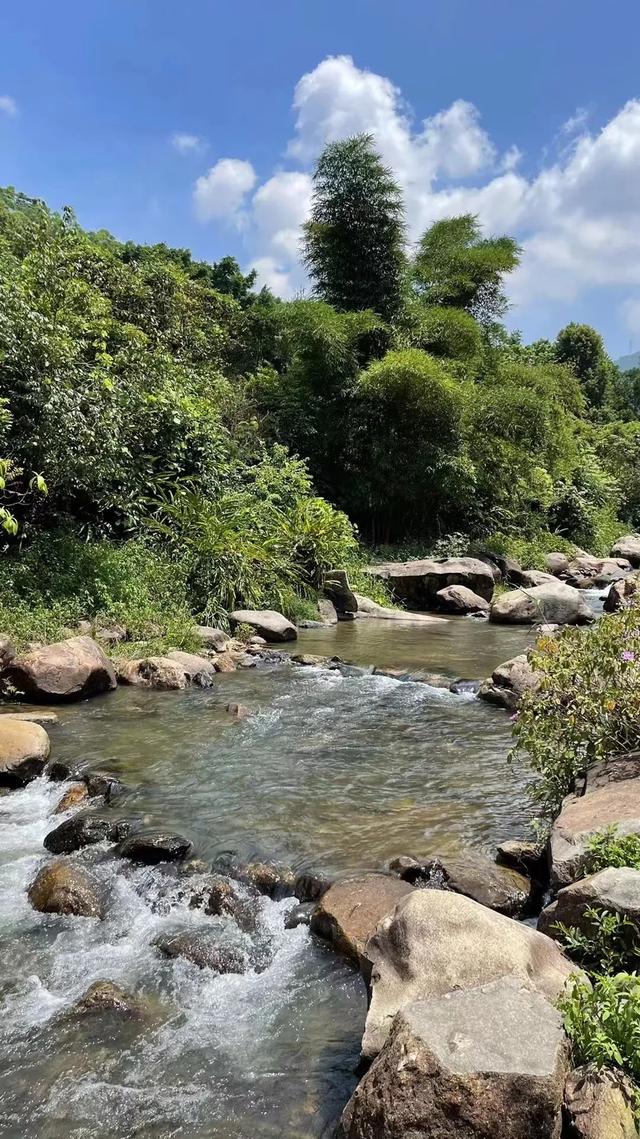厦门二日游，厦门二日游旅行社（厦门的夏天，就这么玩）