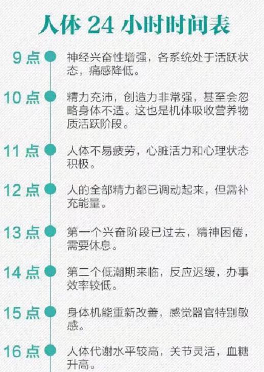 下午时间是几点到几点开始算起(医生公布人体24小时时间表)-第4张图片