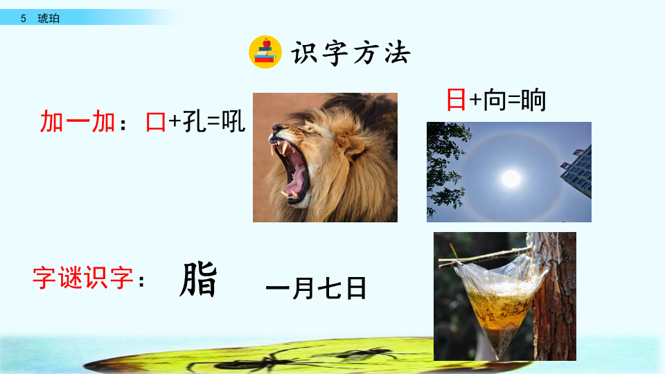 琥珀是怎么形成的四年级下册(四年级语文下册人教版《琥珀》课文讲解、课后习题参考答案)
