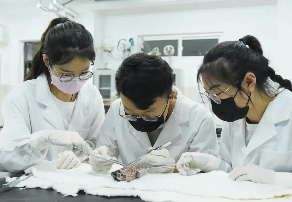 中西医临床医学好嘛(医学专业"幸福感"排名更新,中医学意外垫底,榜首