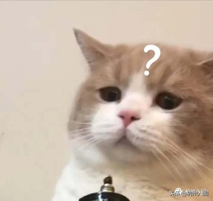 幼儿园寄宿学校（重磅）