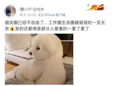 怎么设置qq禁止加好友，新版qq怎样设置不允许任何人添加好友（身边的人开始消失在朋友圈）