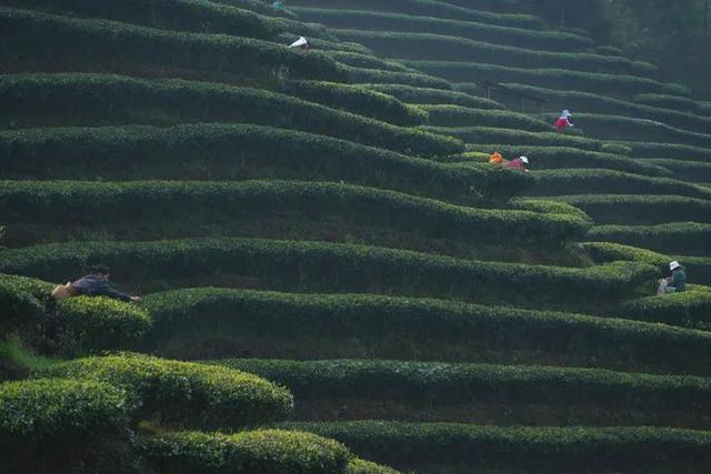春什么化雨四字词语，春什么化雨（今日雨水—好雨知时节）