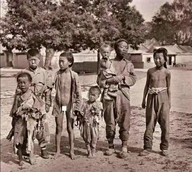 形容见的多了不足为怪的成语，形容经常见到不足为奇的成语（只有香菜星人才知道）