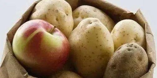 土豆发芽了还能吃，土豆发芽之后还能不能吃（马铃薯发芽了还能继续食用吗）