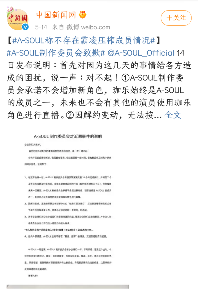 皮套是什么意思，小皮套是什么意思（完美的想象人格与虚幻的社会期望）