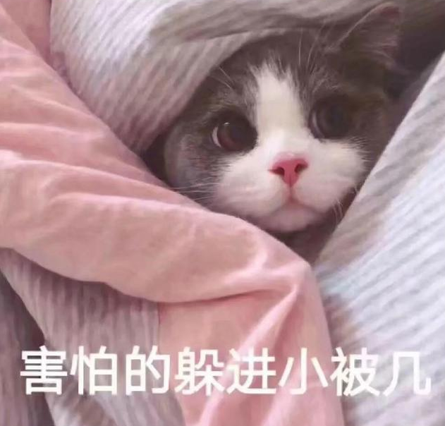 白蚁是什么样子，白蚁是什么样子的图片大全（掌握5招让它们退）