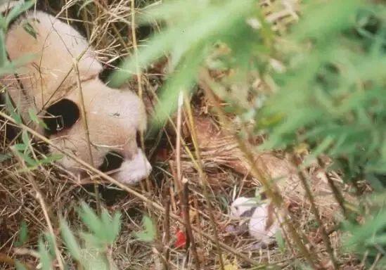 旅游必带物品，青海湖旅游必带物品（这15部精选高分纪录片）