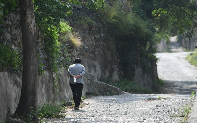 64年属什么生肖，京西这个山水之间的小村庄恢复生机