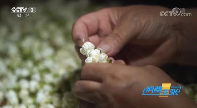 三坊七巷简介，三坊七巷景点介绍（央视带您这么逛上下杭、三坊七巷……）