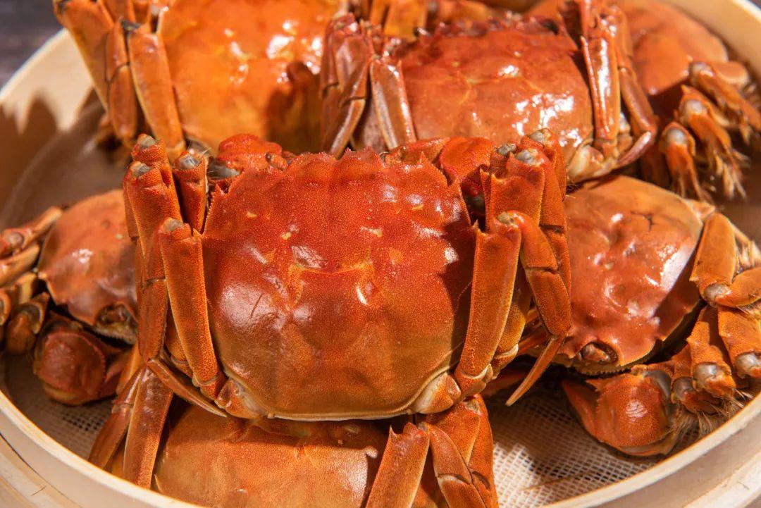 24小时之内死了的螃蟹能吃吗（一文读懂吃螃蟹的禁忌）