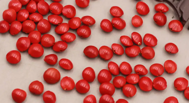 同心结有什么寓意，同心结寓意（想用礼物表达心意）