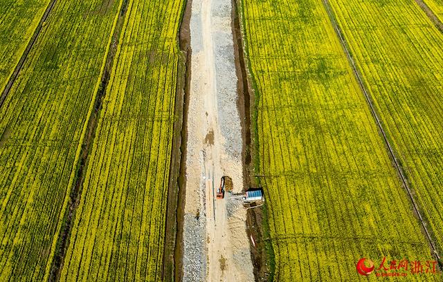 前湾新区最新消息，虹桥前湾新区最新规划消息（宁波前湾新区：民生工程）